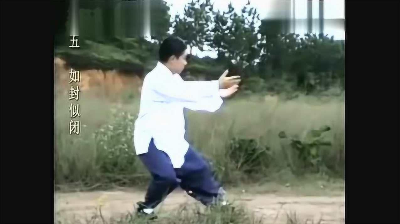 傅清泉《八十五式杨式太极拳》2CD,专业,运动,合作,第1张