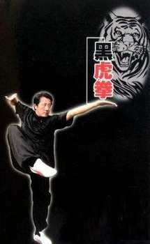 少林黑虎門.-.點指扇mp4格式,第1张