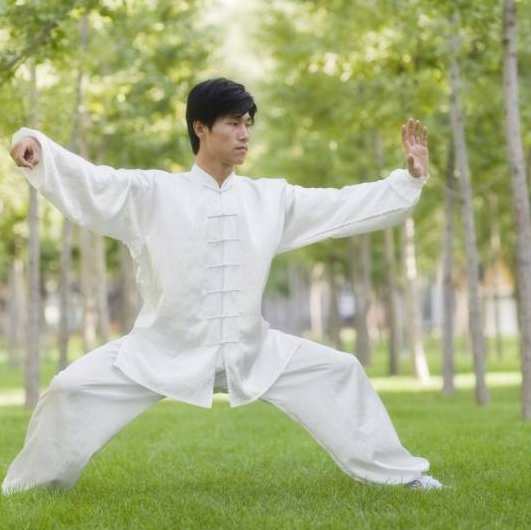 《吴式太极拳老架84式》上部+下部,健身,第1张