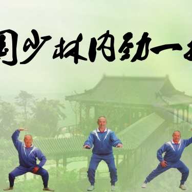 《少林内劲一指禅》视频+书,健身,第1张