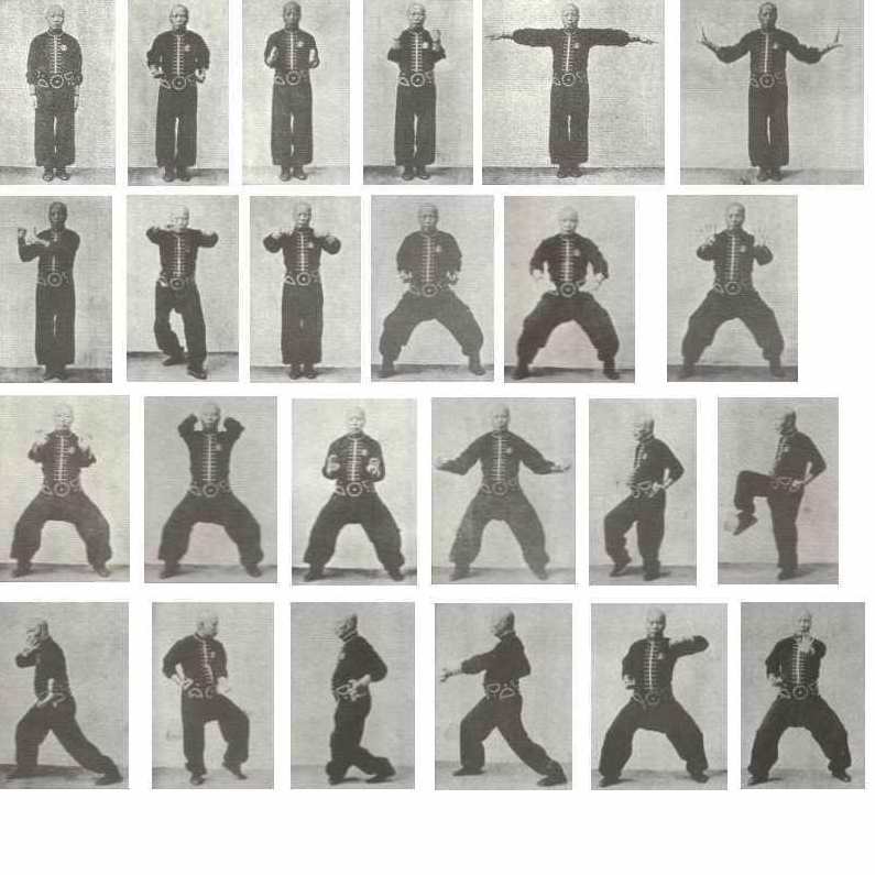 余志伟—工字伏虎拳avi格式,第1张