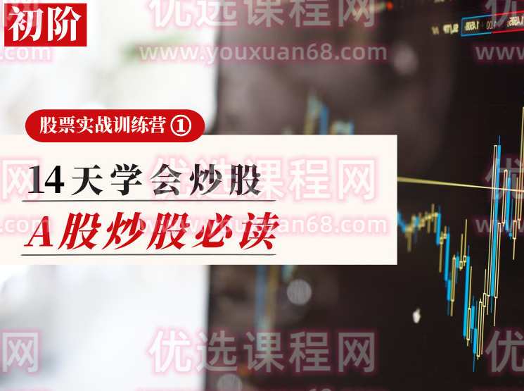 投行大师兄【P1初阶】炒股必读，14天学会炒股-股票投资训练营