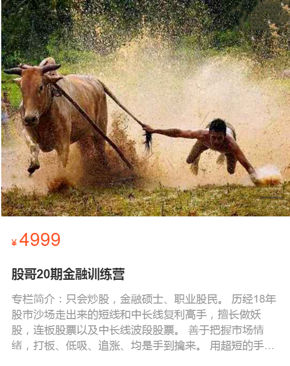 股哥训练营 只会炒股第20期