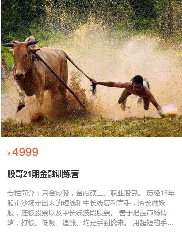 股哥训练营 只会炒股第21期 2022,课程,发展,目标,创新,第1张