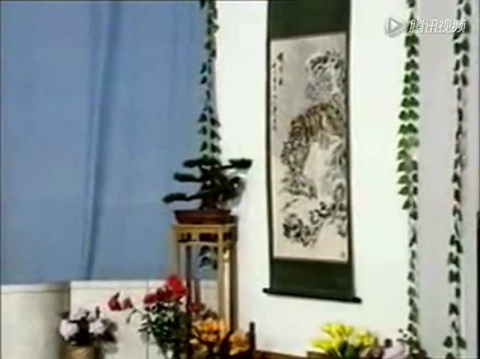 孙式《73式太极拳》2CD,第1张