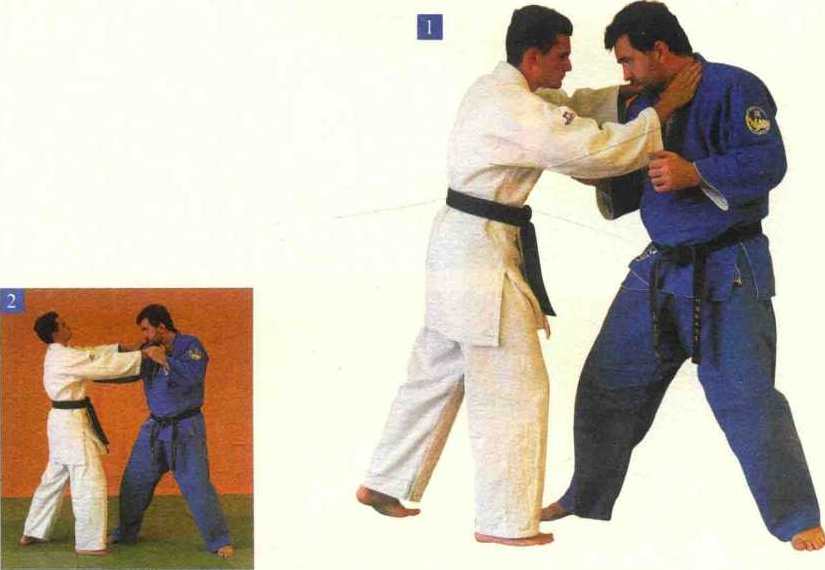 《巴西柔术高级教程》AVI格式7讲,课程,第1张