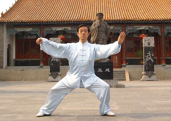 《陈正雷陈式太极拳大全》15套太极作品,学习,艺术,养生,收藏,第1张