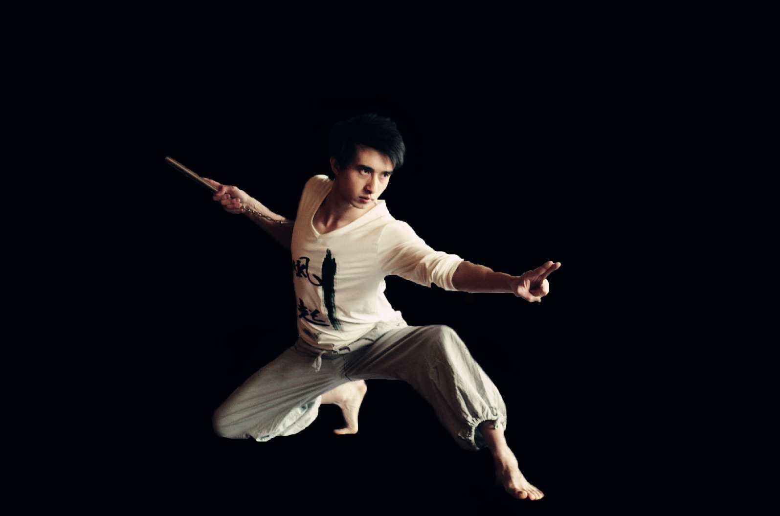 《霹雳两节棍》光盘,第1张