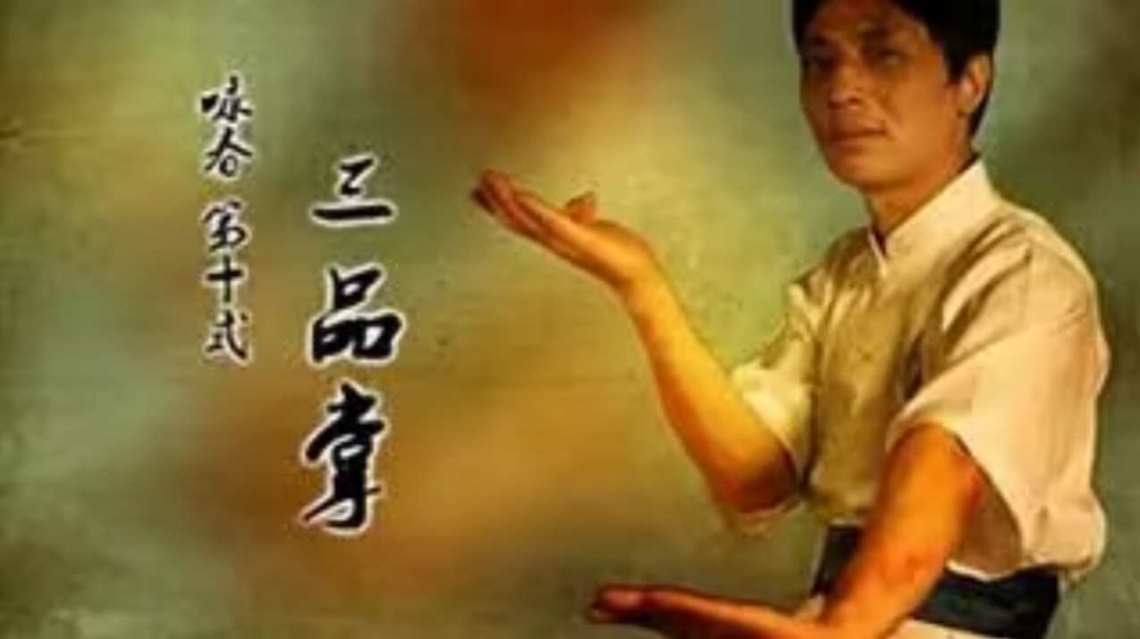 李志河 咏春拳学习教学讲座,学习,发展,理解,艺术,支持,第1张