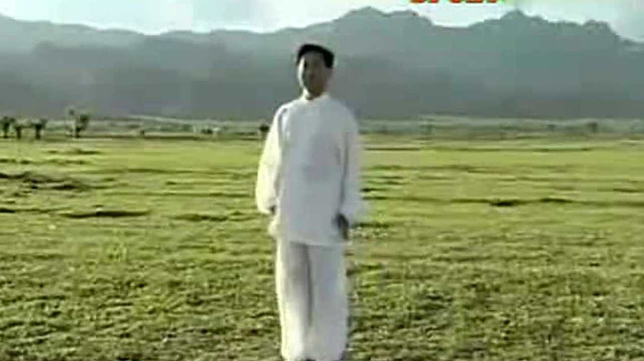 邸国勇 形意拳教学视频,学习,第1张 邸国勇 形意拳教学视频,学习,第1张