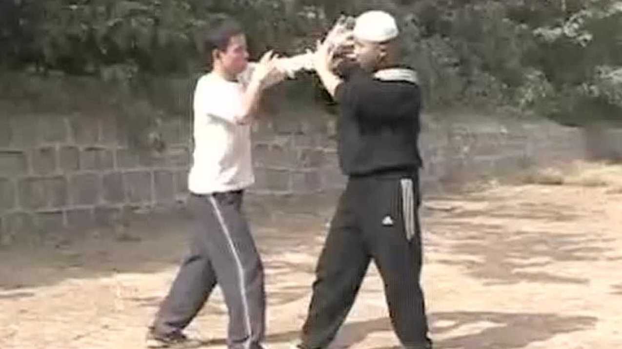 时晓武 周口店心意拳绝密武术内部弟子武术教学视频全12集,发展,理解,艺术,进步,第1张