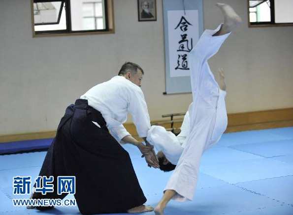 合气道教学视频合气道学习讲座下载