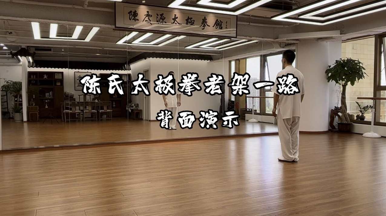 陈庆源 陈氏太极拳老架一路,学习,管理,金融,尊重,第1张