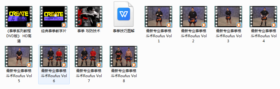 最新专业泰拳格斗术视频教学_泰拳攻防技术,学习,管理,专业,运动,第1张