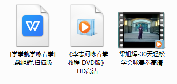 梁旭辉30天轻松学会咏春拳_李志河咏春拳教程HD高清,学习,管理,发展,专业,健康,第1张