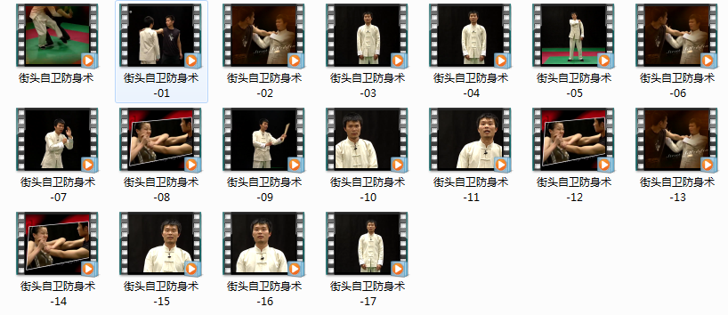 街头自卫防身术_一招制敌教学视频教学,学习,管理,专业,第1张