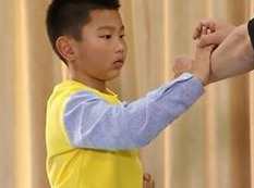 咏春拳入门幼儿启蒙教学视频课程(10集),课程,学习,运动,第1张 咏春拳入门幼儿启蒙教学视频课程(10集),课程,学习,运动,第1张