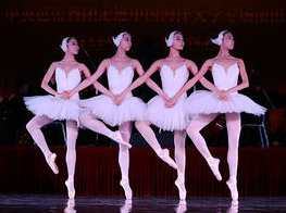 刘天礼四小天鹅视频,第1张