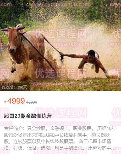 股哥训练营 只会炒股第23期2022.2