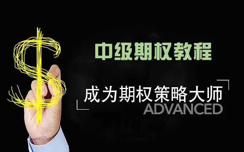 美投君期权课程 中级期权教程,课程,学习,理解,长期投资,第1张
