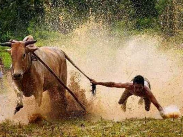 股哥训练营 只会炒股第24期2022.4