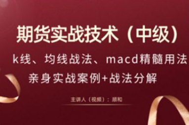 顺和博士-期货实战精华技术－－（进阶级）,课程,第1张