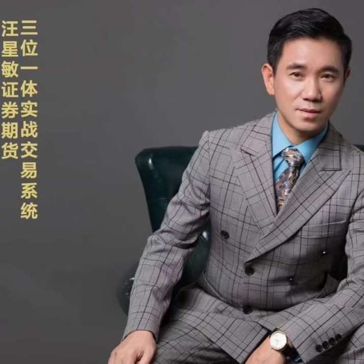 汪星敏期货三位一体实战交易体系,课程,理解,金融,第1张