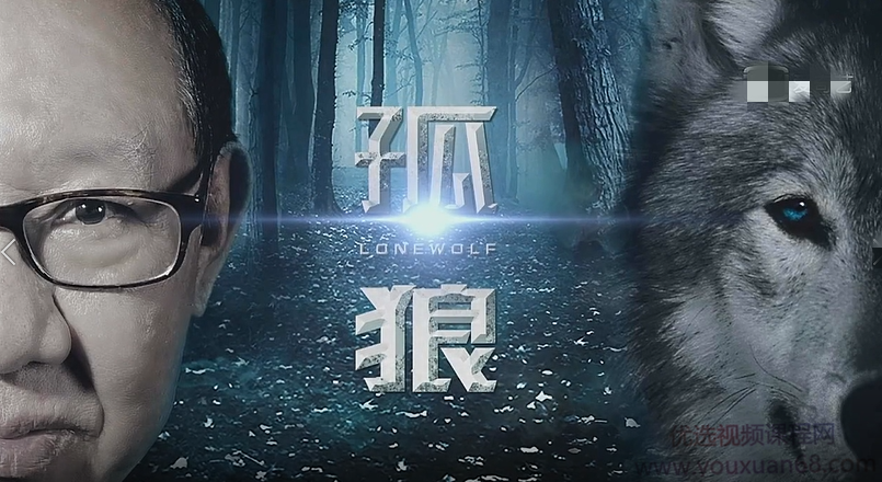 郭海培2021年掌上财金-孤狼战法 20堂课,课程,第1张