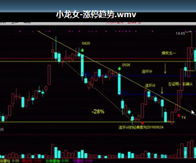 小龙女涨停趋势视频课,第1张