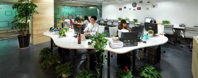 祝文欣 代理商如何公司化运作,课程,管理,专业,理解,团队,第1张