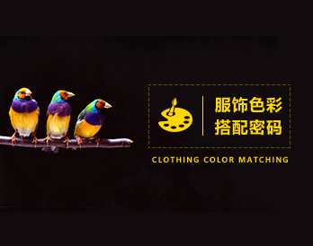 服饰色彩 怎样寻找到属于自己的色彩搭配密码?,课程,第1张 服饰色彩 怎样寻找到属于自己的色彩搭配密码?,课程,第1张