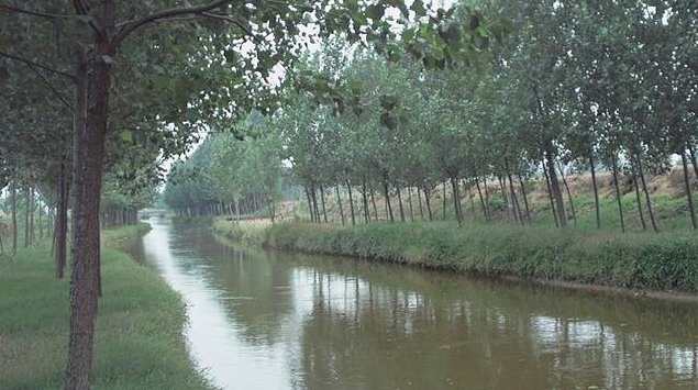 廖阅鹏 催眠气功CD-催眠帮你练精化气,第1张