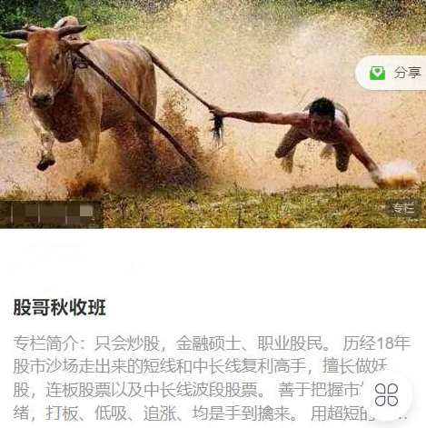 只会炒股2023年8-10月 股哥秋收班视频课程