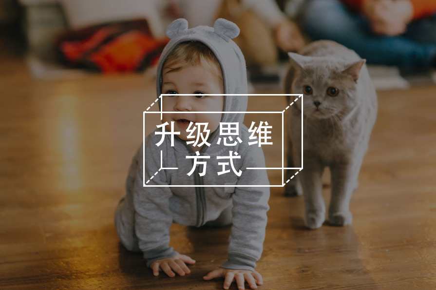 杨路 教你怎么握手-如何用你的手握出生意与机会