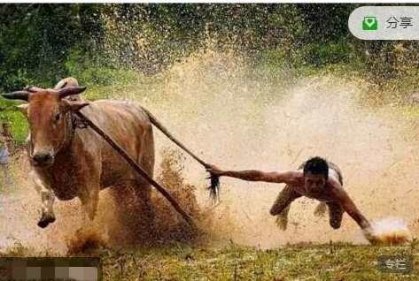 只会炒股2024年3-5月 股哥春分班视频课程