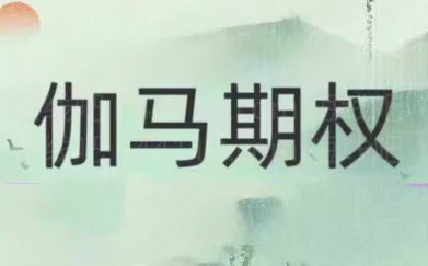 伽马期权2024年课程,课程,第1张