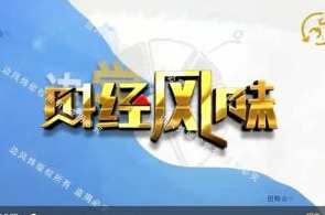 【边风炜】边风炜财经风味2024年-边学边赚视频教程