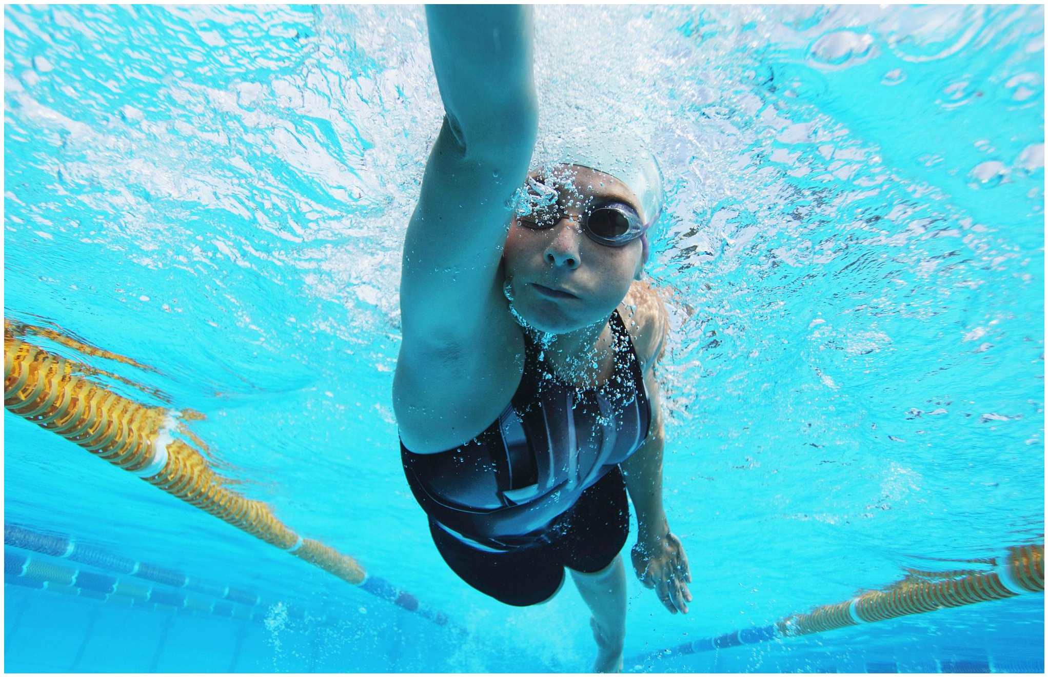 体育文化-《教练选择系列——基本自由泳技术》,第1张