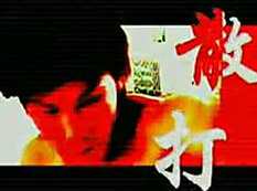 散打搏击格斗入门到精通散打教程主讲,学习,管理,专业,目标,健康,第1张