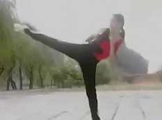 中国武术散打教程视频教学_武术自学教程,学习,管理,发展,专业,竞争,第1张