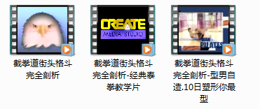 截拳道街头格斗完全剖析_实战之截拳道教学视频,学习,管理,专业,第2张 截拳道街头格斗完全剖析_实战之截拳道教学视频,学习,管理,专业,第2张