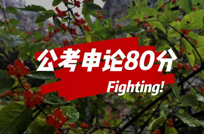 公考冲刺 高分拿下申论，名师划重点，突破难点，轻松上岸