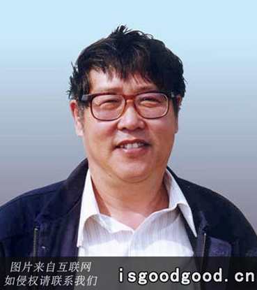 聂崇正 清代“臣字款”绘画与宫廷绘画全5集,艺术,兼职,第1张