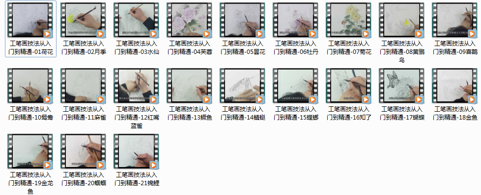 工笔画技法从入门到精通DVD教学版,学习,管理,专业,第2张