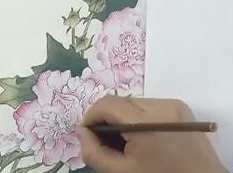 工笔画技法从入门到精通DVD教学版,学习,管理,专业,第1张