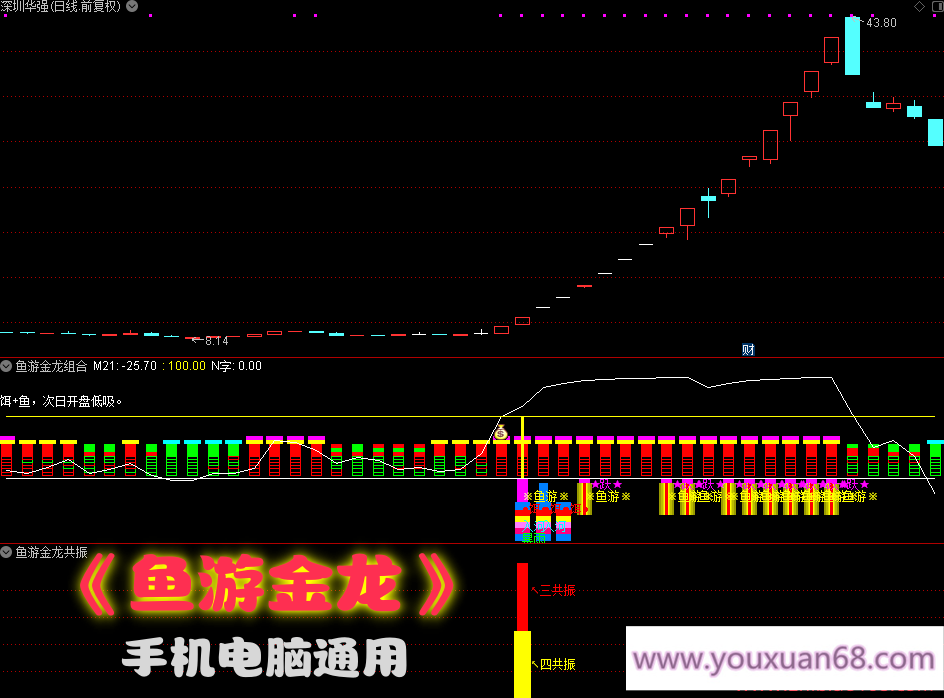 【鱼游金龙】副图选股通达信指标/捕捉强势主升/暴雨入河鱼跃成龙共振信号/手机电脑通用信号不飘逸,第1张