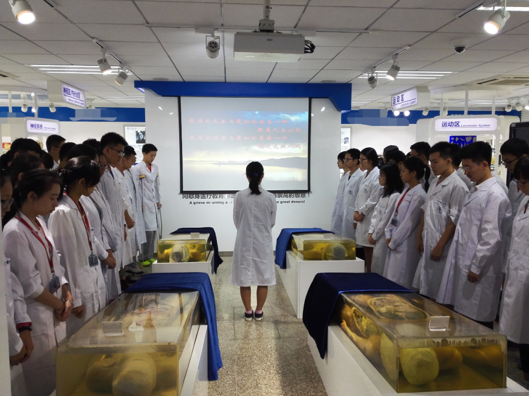 【解剖学】老贺30天执业医考通关大讲堂精品讲座,第1张