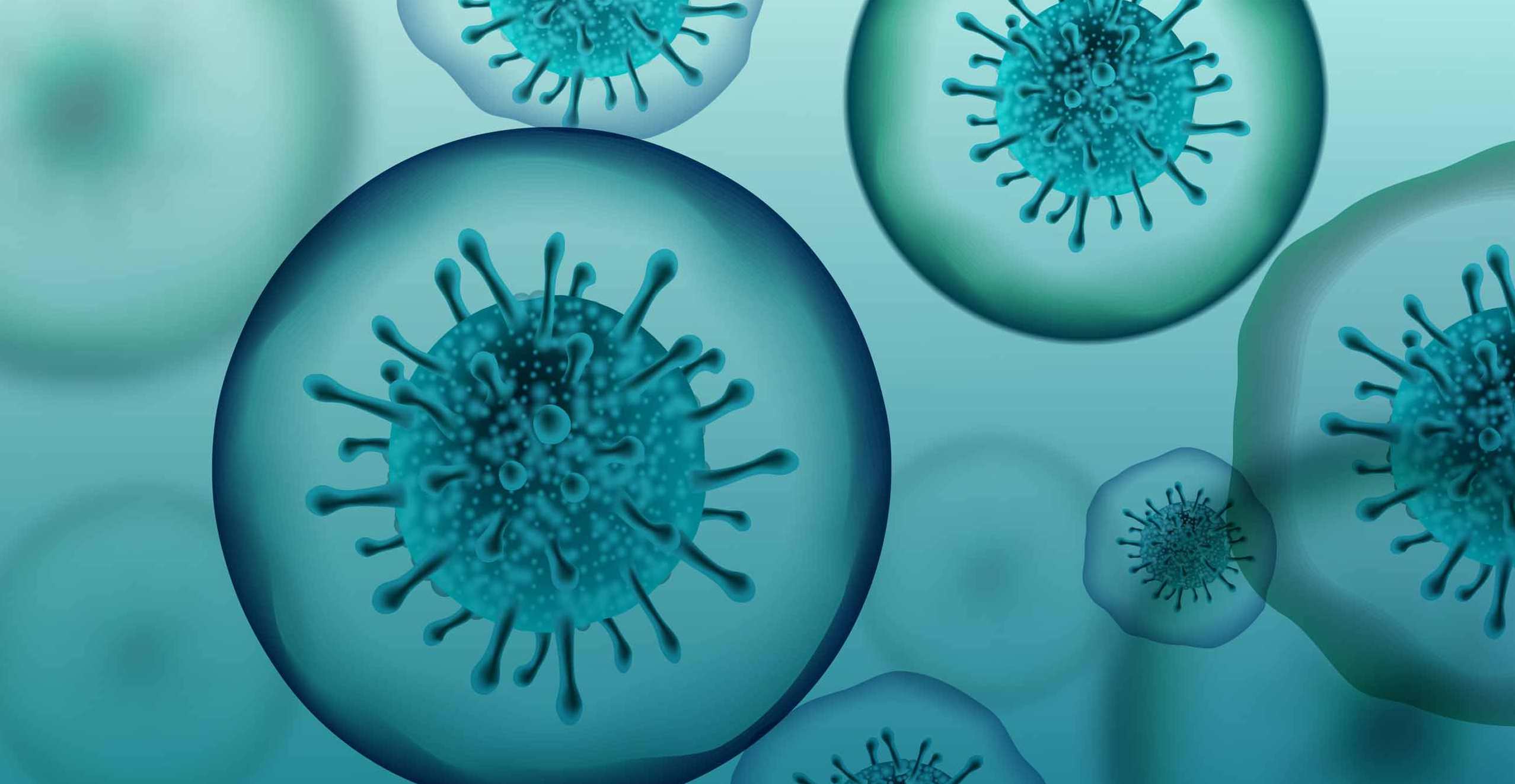 【传染病学】老贺30天执业医考通关大讲堂精品讲座,第1张