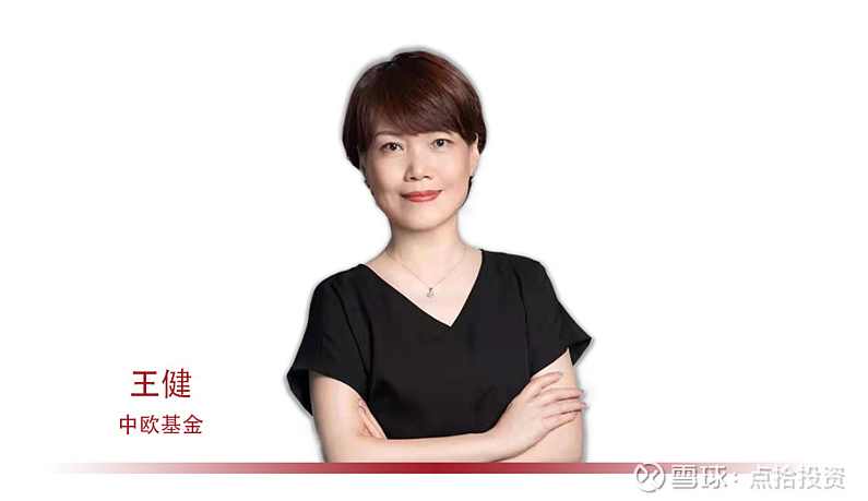 王健 品牌的价值营销,学习,管理,发展,目标,竞争,第1张