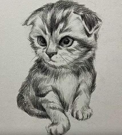 大乔素描全体系三合一几何静物石膏像【画质高清有照片素材】